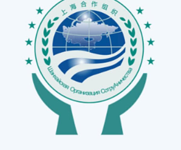 青島華睿源科技有限公司 門戶網(wǎng)站軟件開發(fā)